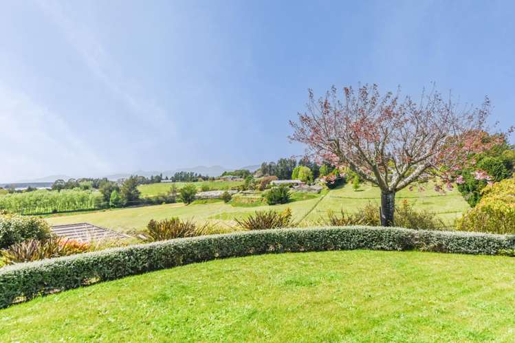 55 Redvale Road Redwood Valley_26