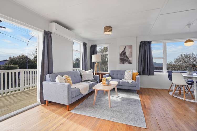 169 Ellicott Road Nawton_1