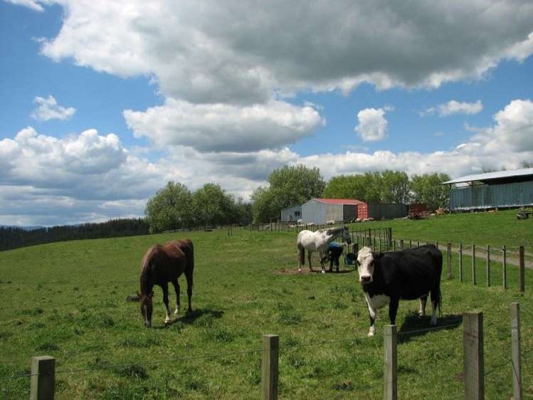 53 Worth Road Putaruru_19