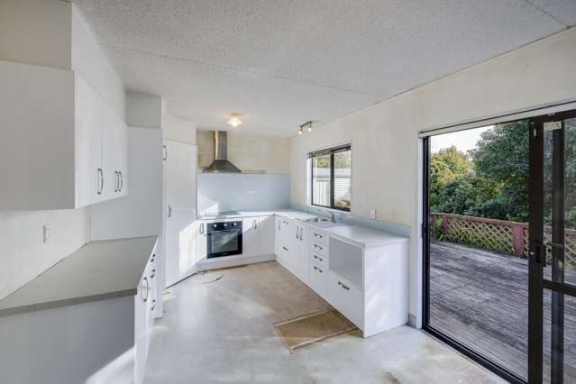 59 Leicester Avenue Tamatea_2