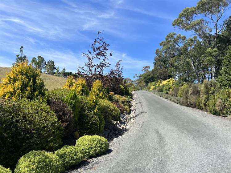 169 Dominion Road Mahana_22