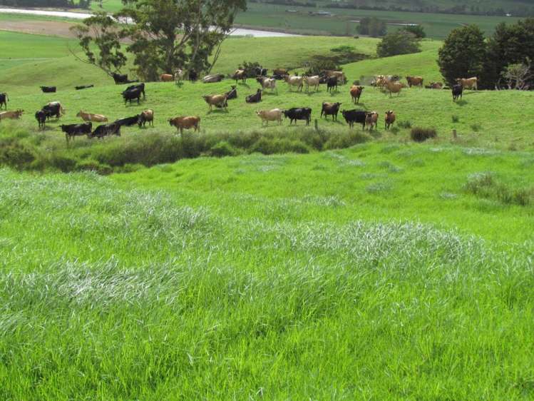 162 Roberts West Road Arapohue_14