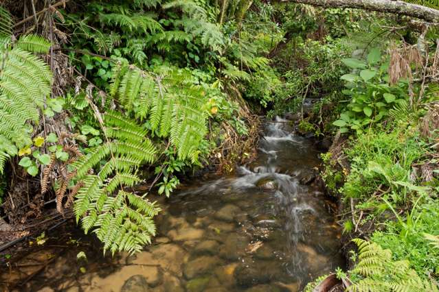 Pine Ridge Lane Aongatete_2