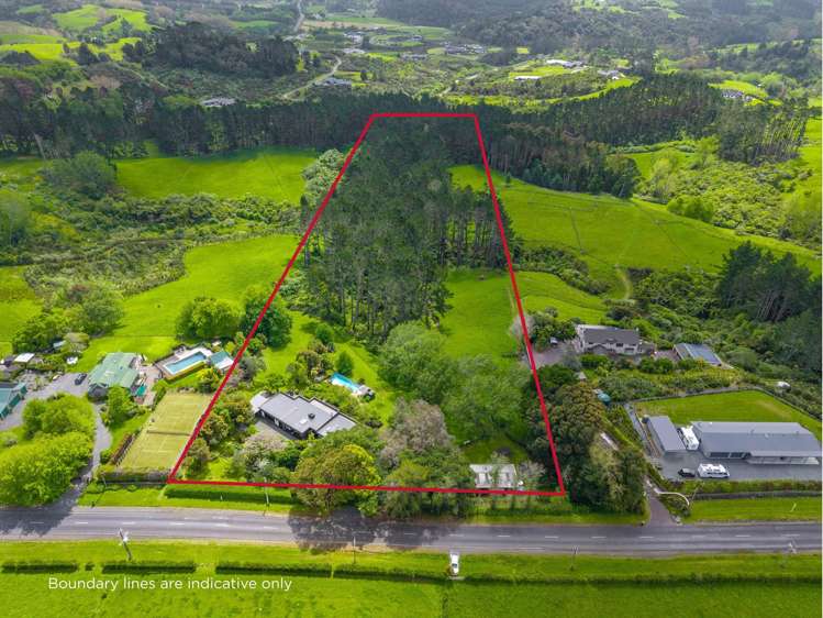 18 Ara-Kotinga Whitford_39