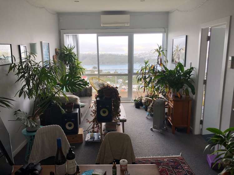 17A Marewa Road Hataitai_6