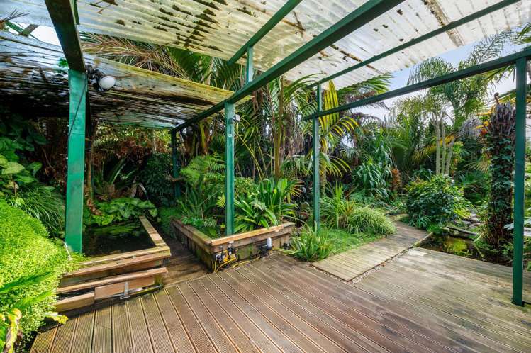 19 Metro Avenue Nawton_21