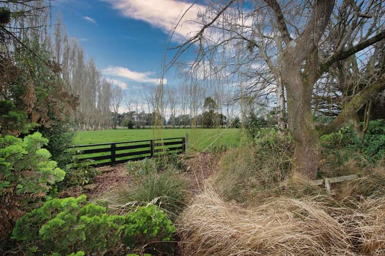 82 Clark Road Edendale_4