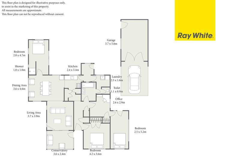 11 Nelson Street Hamilton East_1