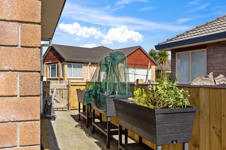 8 Palm Lane Red Beach_13