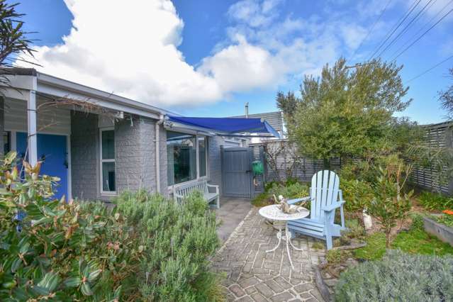 205b Forbury Road Saint Clair_3