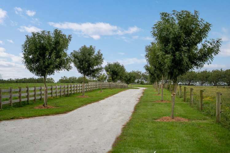 4 Ryeland Lane Karaka_20