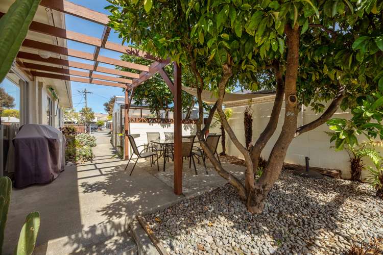 5a Manson Street Redwoodtown_16