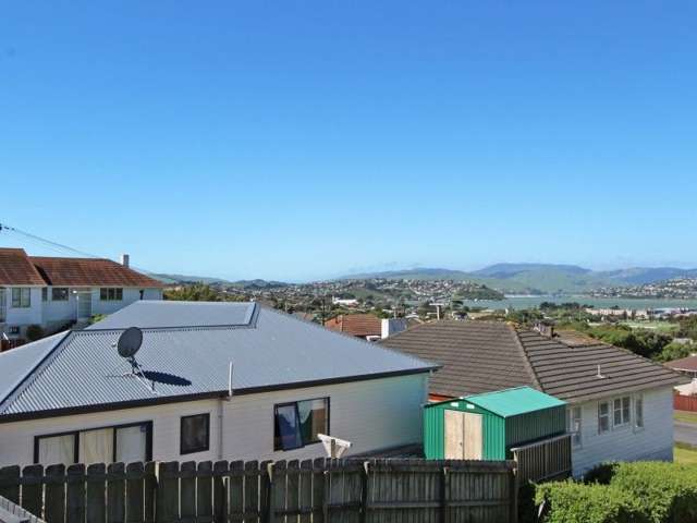 3a Waiho Terrace Elsdon_3