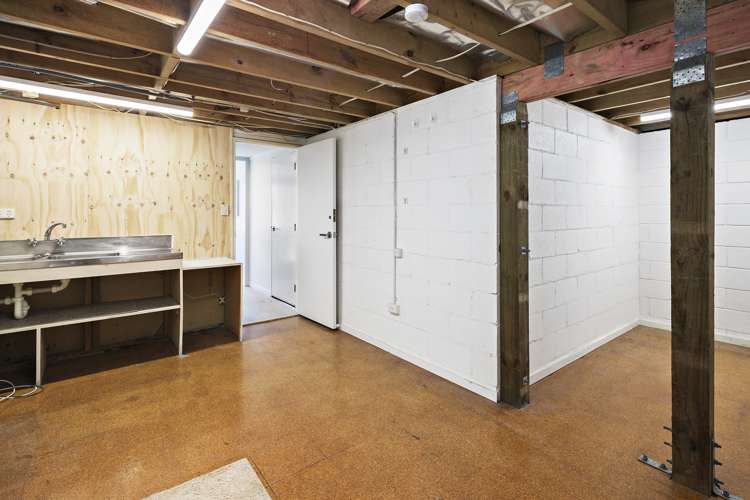 2/85 Elizabeth Street Mount Victoria_17