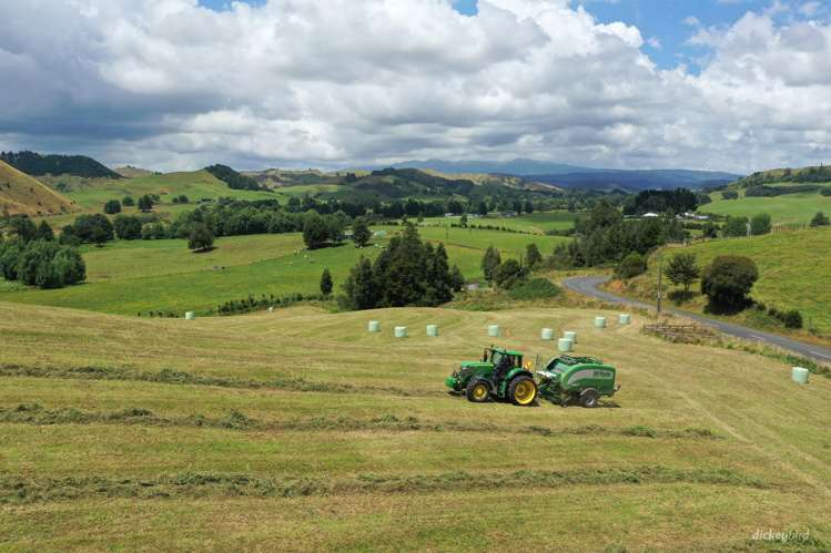 211 Waitetuna Valley Road Raglan_9