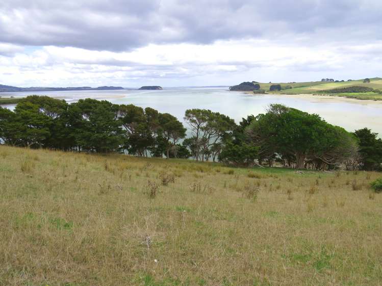 369 Burma Road Tapora_9