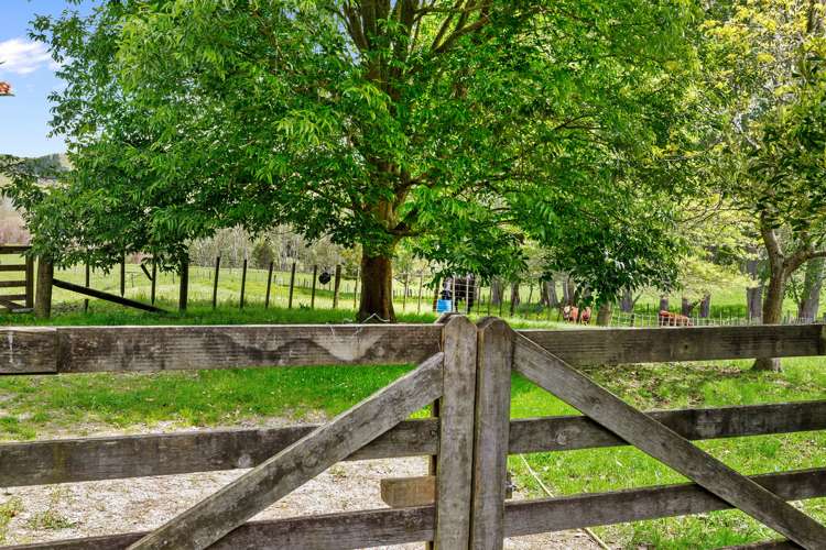 57 Guy Road Kaipara Flats_14