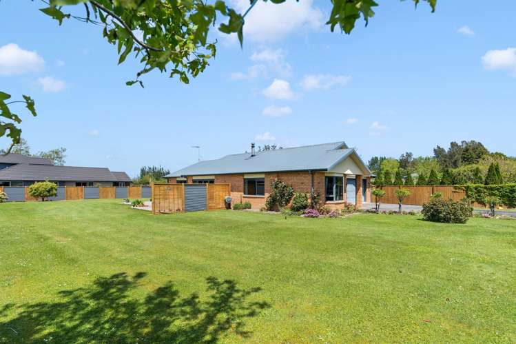 77 Reading Street Greytown_24