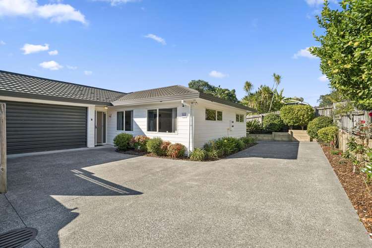 36b Charlotte Street Stanmore Bay_1