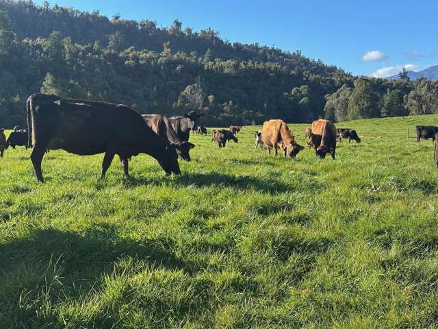 451 Umere Road Karamea_3