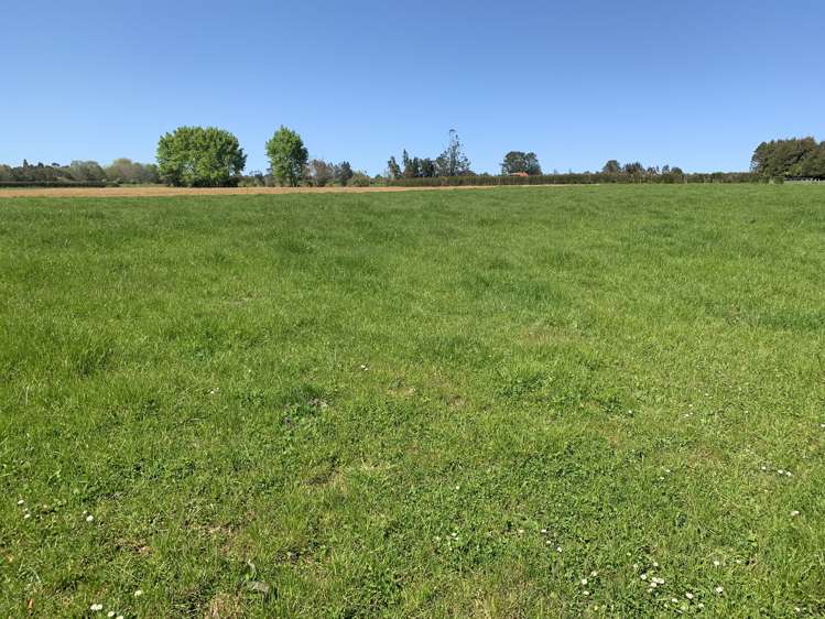 2442 Mountain Road Tariki_2