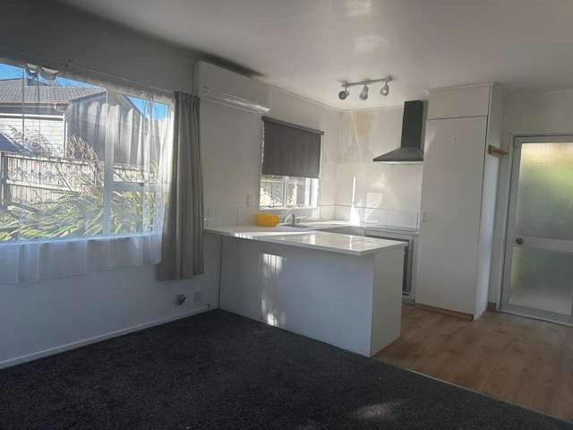 1B Westland Rd Tuakau_4
