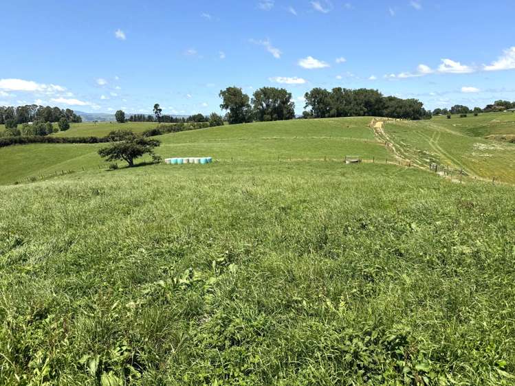 219 Waitomo Valley Road Otorohanga_12