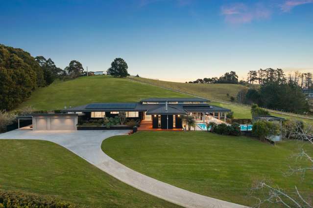 Elevated to Entertain on Mahoenui Valley