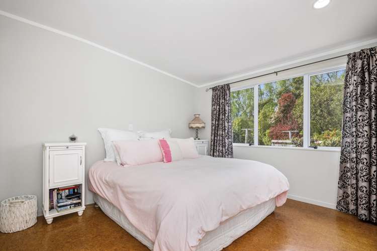 270 Ross Road Whakamarama_13