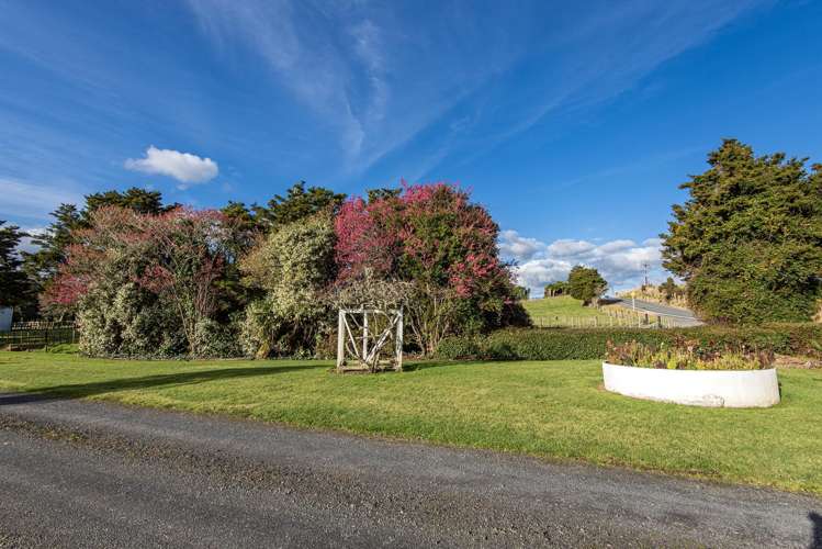 243 Harris Road Glenbervie_39
