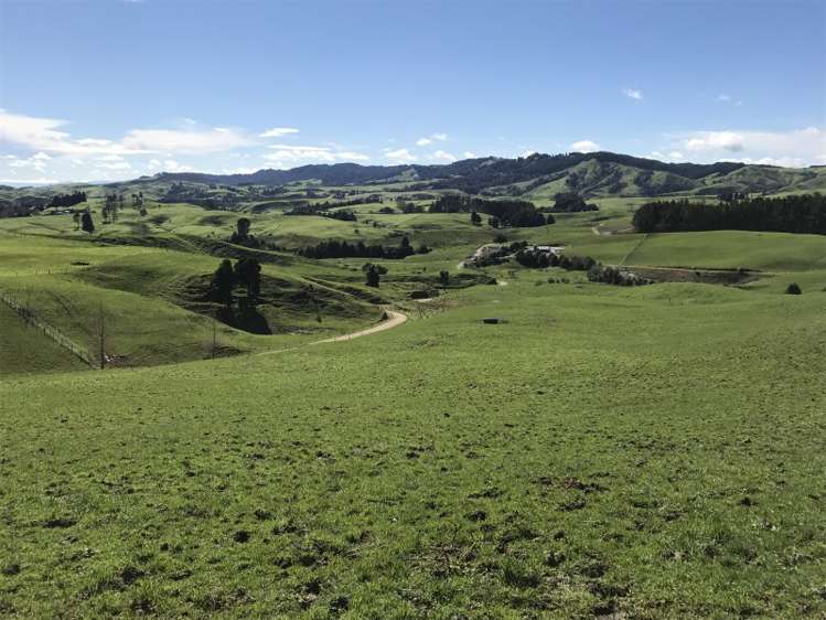 1232 Ngaroma Road Wharepuhunga_3