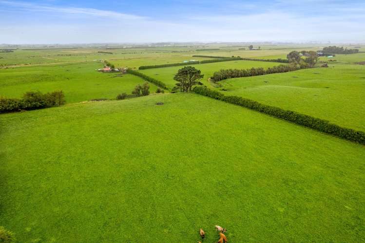 0n Normanby Road Lower Manaia_1