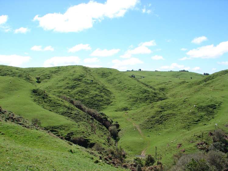 Mahoe Road Waitomo_7