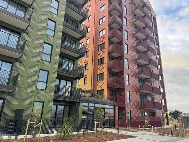 NE corner apartment with beautiful Akld City view