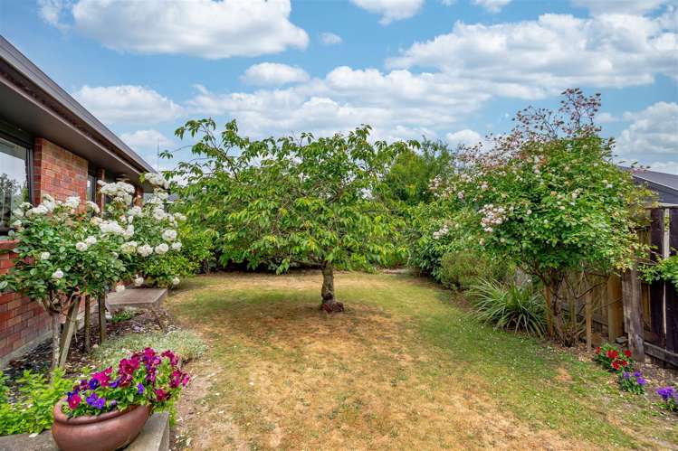 180c Chapel Street Masterton_16