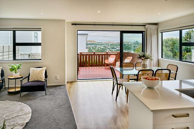 52b Chesterton Street Johnsonville_4