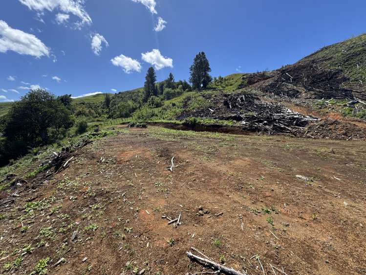 Lot 4 Brown Road Kawhia_12