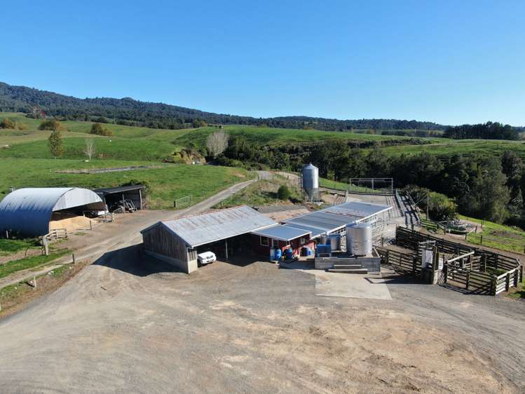 480 O'Shea Road Pirongia_9