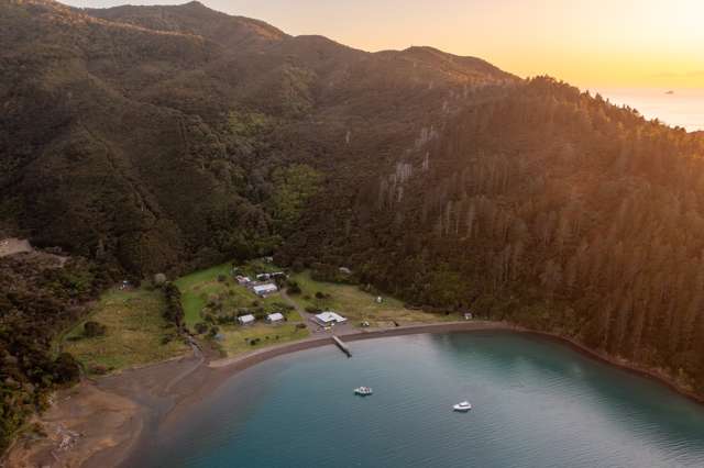 Catherine Cove Marlborough Sounds_4