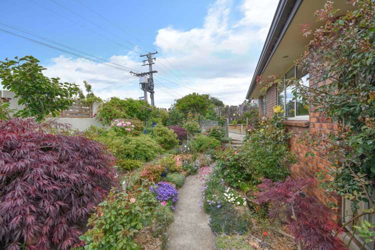 71 Viscount Road Waldronville_15