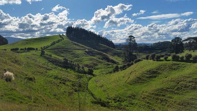 23 Turner Road Whakamarama_1