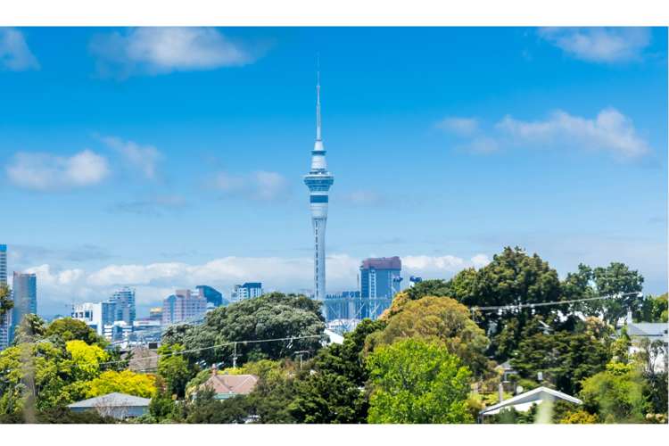 31 Wernham Place Northcote_1