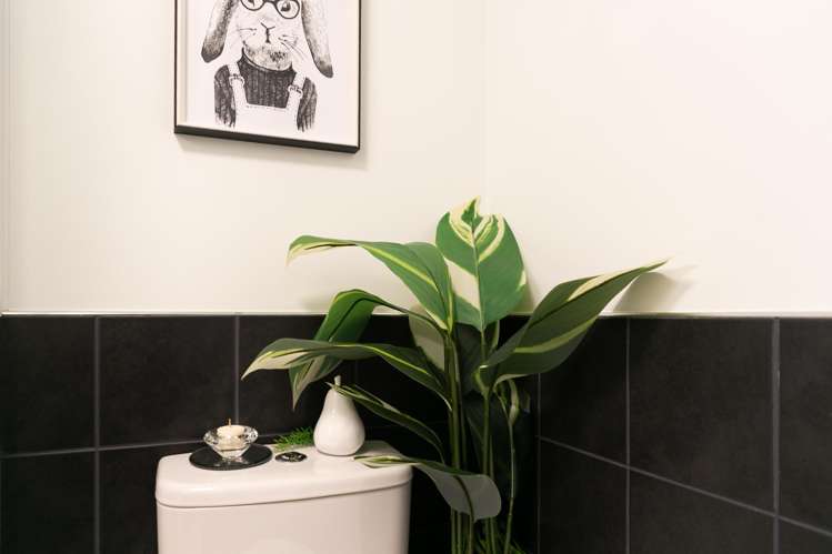 905/96 Symonds Street Grafton_31