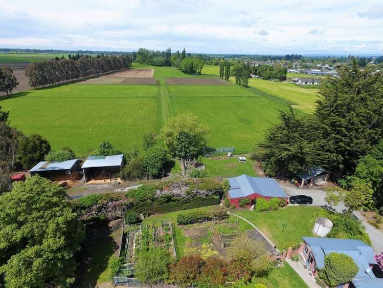 46 Templer Street Geraldine_33