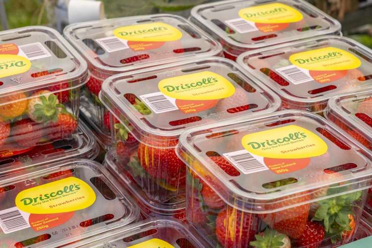 Thurley Place Bay View_5