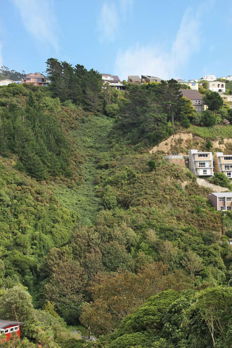 318 Ohiro Road Brooklyn_20