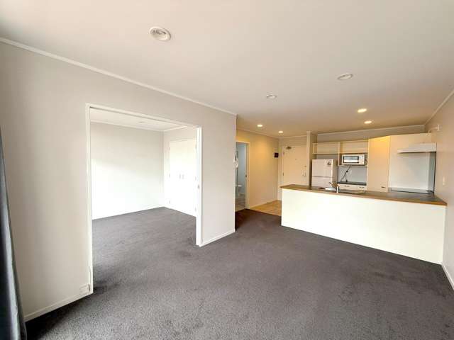 1 Bedroom Apartment in the heart of Albany