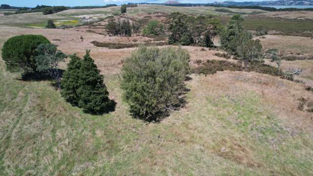 Lake Road Okaihau_2
