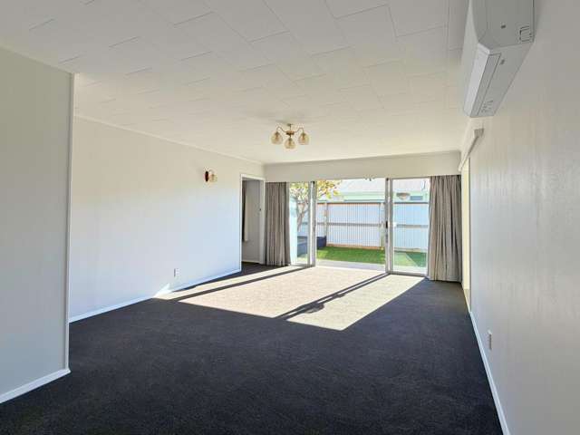 6B Eltham Street Blenheim Central_1