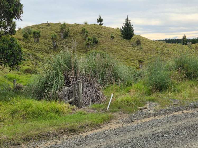 Wilson Road South Head_6